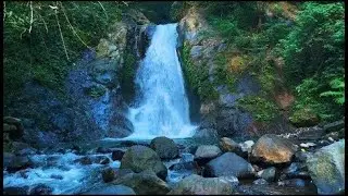 Waterfall Sounds for Sleeping, River Sounds for relaxation, Water Sounds for stress relief