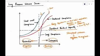 Lung Pressure Volume Curve