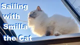 #70 Sailing with Smilla the Cat
