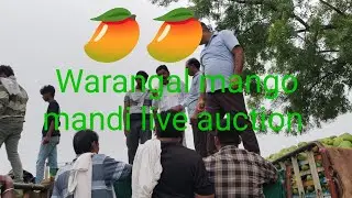 Warangal Mango Mandy live auction all varieties 🥭🥭