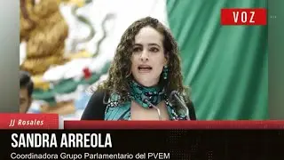 Congreso aprueba reforma que garantiza derecho a medio ambiente sano y proh&iacute;be maltrato animal
