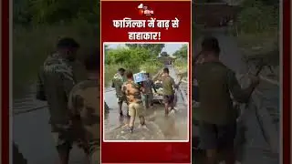 Punjab Flood Rescue: Fazilka में बाढ़ से हाहाकार! रेस्क्यू में जुटी भारतीय सेना | BSF | Indian Army