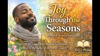 Joy in All Seasons