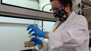 Diels-Alder of 9-anthraldehyde and maleic anhydride part 1
