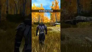 The Imperial Deserter Within Redwater Den | Skyrim Details #elderscrolls #skyrim