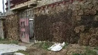 Yak Dung Walls