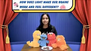 Red, Blue, Yellow, Orange - What Light Does to Your Brain!