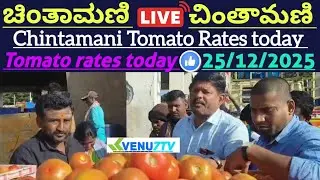 #25/12/2025 #today Chintamani tomato rates #Chintamani tomato market rates #tomato rates #Venu7tv 