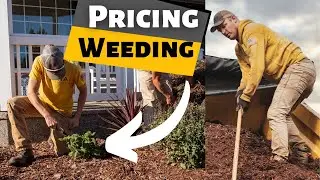 How to Price Weeding Jobs