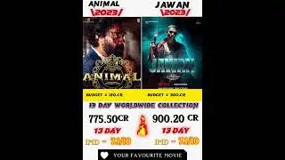 13 day collection worldwide Jawan vs animal #jawan #srk #ranbirkapoor #bobbydeol #shortfeed