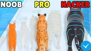 NOOB vs PRO vs HACKER - Cat Evolution