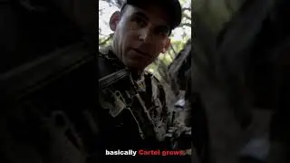 Narcofornia: How Drug Cartels Are Destroying California's Environment | #shorts