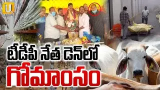 Beaf Caught in TDP Leader Subramanyam Gupta Godown | టీడీపీ నేత డెన్&zwnj;లో గోమాంసం | Its UTV News