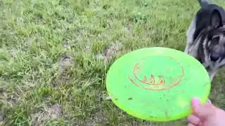 Hyperflite K 10 Jawz dog flying disc &bull; world's toughest canine competition approved flying disc &bull; be