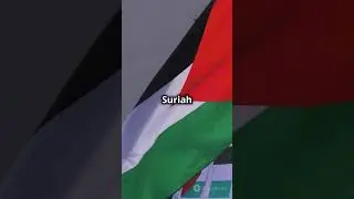 Prabowo Soroti HAM dan Persatuan Negara Muslim di KTT D-8 Mesir membuat pemimpin dunia tercengang.