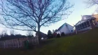 Short Flight, Fury