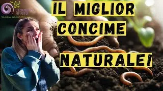 Concime Naturale Fai-da-Te: Trasforma il Tuo Orto con l&rsquo;Humus di Lombrico!