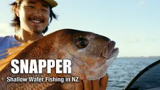 Shallow Water Snapper Fishing | Wild North Addiction 