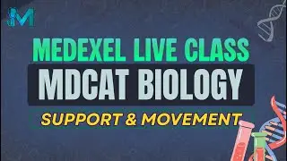Support & Movement | MedExel Biology Free Class | MDCAT 2026 Bio Lecture | MedExel