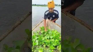 With my net in hand, I went to the river &mdash; what an incredible catch #fishing