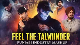 Talwiinder x Honey Singh x Sidhu Moose Wala | Punjabi Industry Mashup 2026 | Haven in lo-fi 