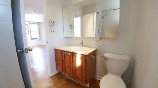 992 Napoleon, Le Plateau