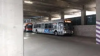 2009 LACMTA NABI Metro 45C 8362