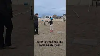Gillie is teaching Eliza some tricks for equine agility. #gvhr #horseagility #horse #horserescue