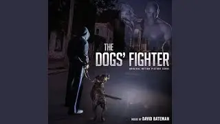Fight Night