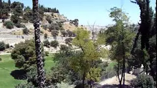 Aceldama - Akeldama - Hakeldama (where Judas Iscariot hang himself) - Jerusalem - Israel