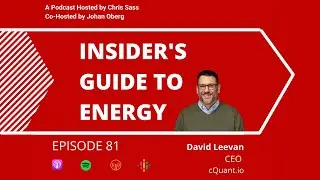 81- Energy Portfolio Management with David Leevan
