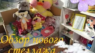 Обзор нового стеллажа! Что Мия и Басик туда сложили?