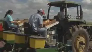 Louisiana corn planting behind schedule