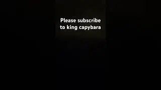 Please subscribe to King capybara