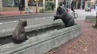 Walking to Powell's Books. Downtown Portland, OR Sept 30 2025.