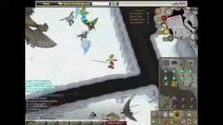 Armadyl Boss Fight #1