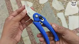 Best Blue Handle Garden Cutter/Pruner &ndash; Easy Plant Cutting Tool Review