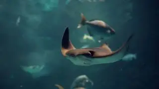 CINEMATIC TRAVEL FILM | ONTARIO CANADA.