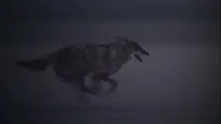 Opening scene of the movie desert heat or inferno