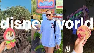 Disney World Vlog | Animal Kingdom & Hollywood Studios Park Days
