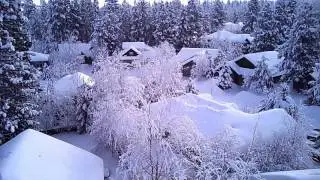 Zeyroc 2017 Snow