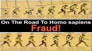On The Road To Homo sapiens Fraud! | Dr. Carl Werner | The Grand Experiment Vol. 4