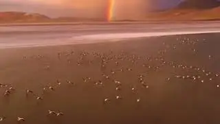 Bolivia 🇧🇴, Altiplano Plateau
