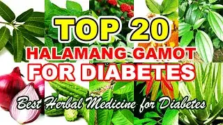 TOP 20 MGA MABISANG HALAMANG GAMOT SA DIABETES - SUBUKAN MO!