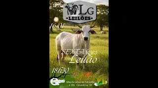 🛑 Lg Leilões - AO VIVO - Catanduva/SP - 16/01/2026