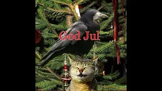 Christmas movie !!! How to make a Christmas bauble in the forest. GOD JUL!