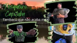 Chuva de Tambacu CHAMA! Pesqueiro Capituba pescaria garantida.