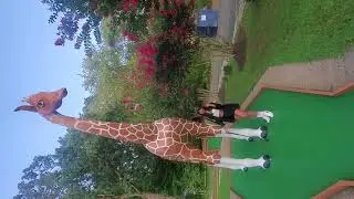 Beauty and the Giraffe