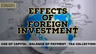 Effects of Foreign Investment | International Economics