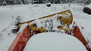 Nova Scotia, Jan 19 2026